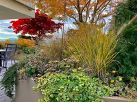 zehnder-garten GmbH