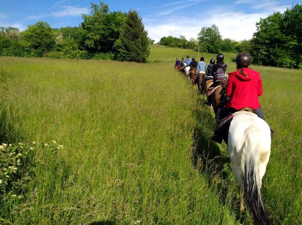 Ranch Blackyland - Manège et cours d'équitation - Genève - Bernex