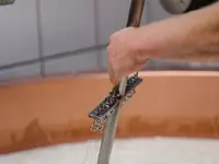 Fromagerie Moléson SA