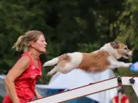 Studio Veterinario Ghiringhelli