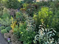 Garden Centre Meylan