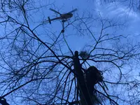 AFOR - Azienda Forestale Valli di Lugano SA - Klicken Sie, um das Bild 2 in einer Lightbox vergrössert darzustellen