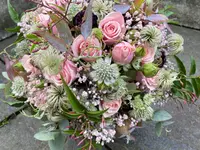 Blumen La Violetta