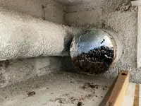 GROSS Pest Control GmbH