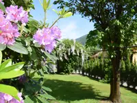 Garni Villa Siesta Park