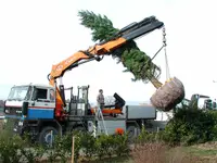 Les Artisans de L'Arbre Sarl