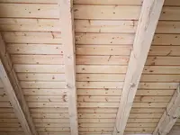 Williner Maler & Gipser AG