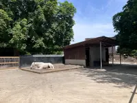 Zoo Hasel - Klicken Sie, um das Bild 3 in einer Lightbox vergrössert darzustellen