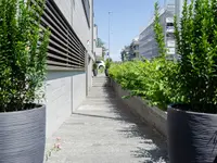 Grab Gartenbau AG