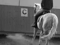 Manège de Pampigny