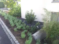 Wüthrich Gartenbau