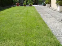 Krokus Gartenpflege GmbH
