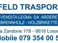 Imfeld Trasporti sagl - cliccare per ingrandire l’immagine 1 in una lightbox