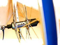 Veloterra