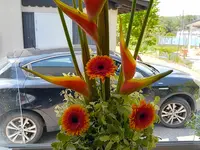 Les fleurs d'Alena