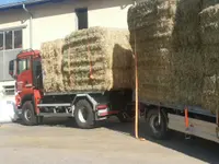 Servizi e lavori agricoli - Bassi Mirko