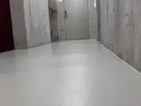 Wild Malerei AG