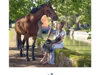 la Crinière