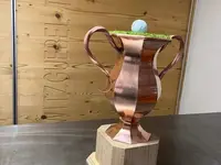 Schwitzguébel Team SA