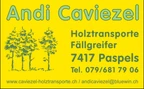 Andi Caviezel Holztransporte