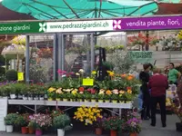 Pedrazzi giardini Sagl