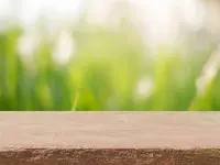 Art-Clean Reinigung GmbH