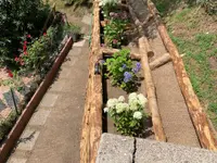 Allen Giardiniere Paessaggista