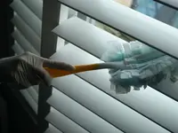 Ecofox Clean Home Services