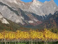 Weingut Jürg & Daniela - Klicken Sie, um das Bild 3 in einer Lightbox vergrössert darzustellen