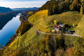 Weingut Oberli & Oechsle