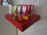 Pedisa