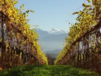 J&H Südhang GmbH