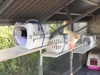 Hôtel pour chats 'Le Clozaley'