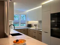 Luli Concept
