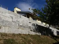 Braun Gartenbau AG