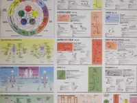 Cabinet de Kinésiologie - Kinesivita – Cliquez pour agrandir l’image 15 dans une Lightbox