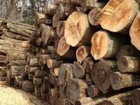 Passion Forêt Sàrl