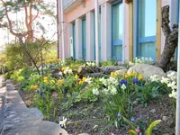 Käser Gartenbau AG