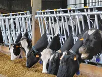 Agrofarm Sàrl