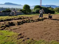 Thomas Kuster Gartenbau & Gartenpflege