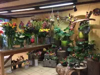 Fleurs Elémen'Terre Sàrl
