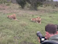 L'Œil Sauvage - Wildlife Experience - Klicken Sie, um das Bild 19 in einer Lightbox vergrössert darzustellen