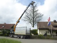 Näf Markus - Klicken Sie, um das Bild 19 in einer Lightbox vergrössert darzustellen