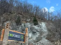 ONSFOREST Sagl