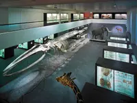 Naturhistorisches Museum Bern