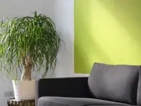 Wagner Maler GmbH