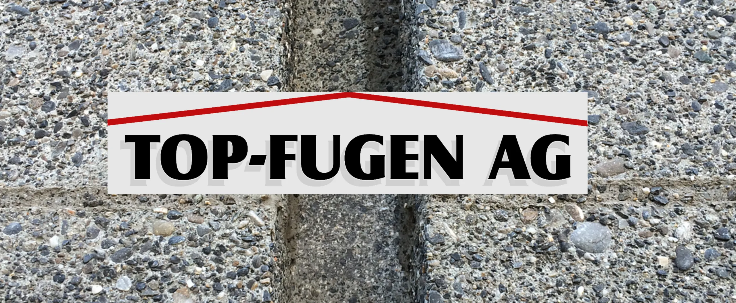 Top-Fugen AG