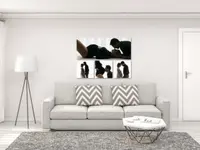 Fotografik 11 by Fabienne Bommer-Büttler