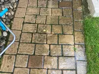 Perfect Clean