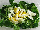 Pizzakurier KRONE